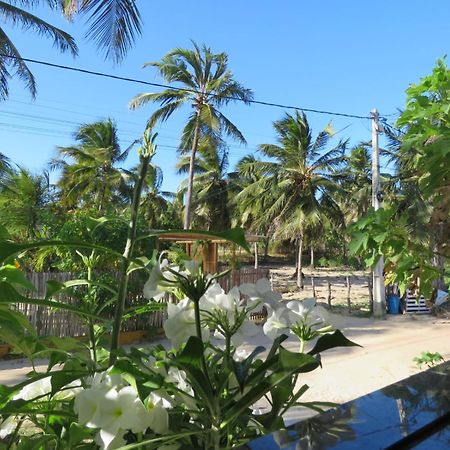 Villa Dos Coqueirais 伊卡莱 外观 照片