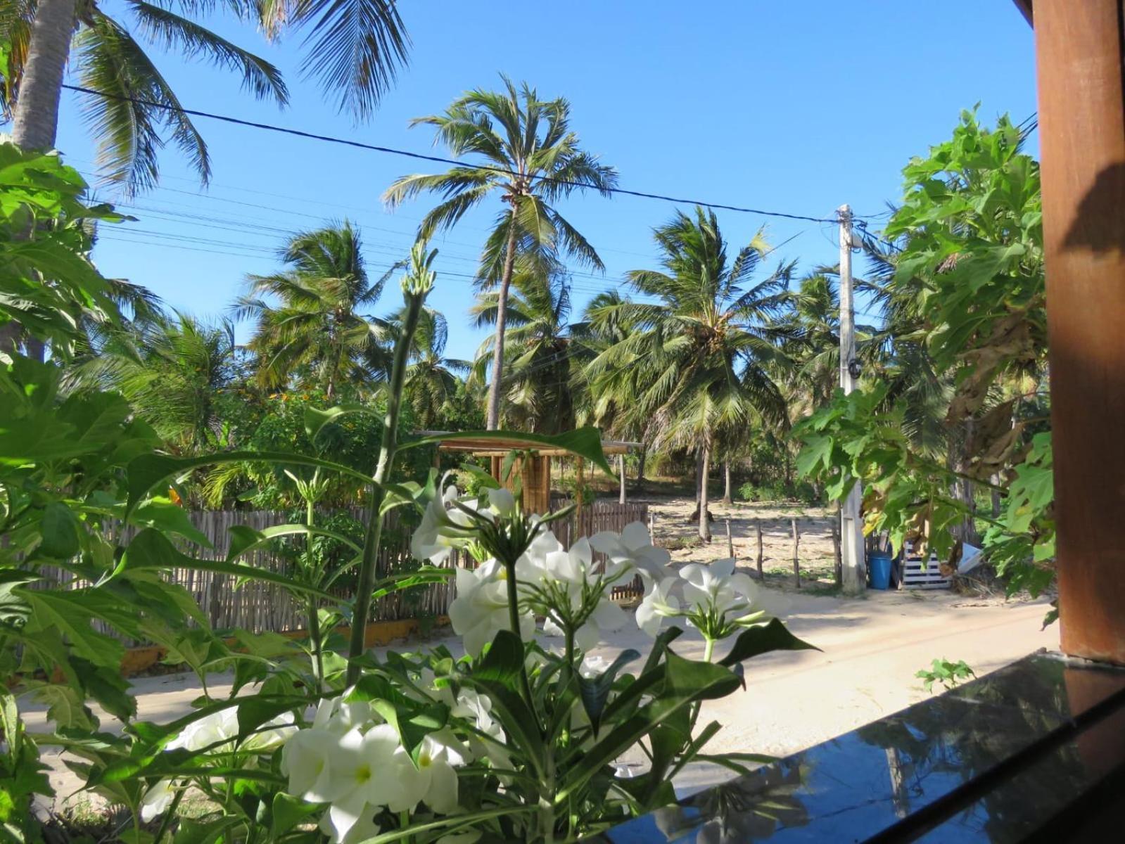 Villa Dos Coqueirais 伊卡莱 外观 照片